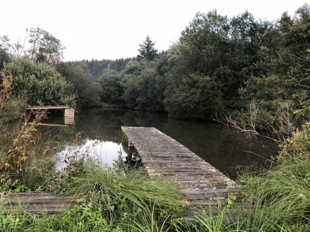Teich mit Steg