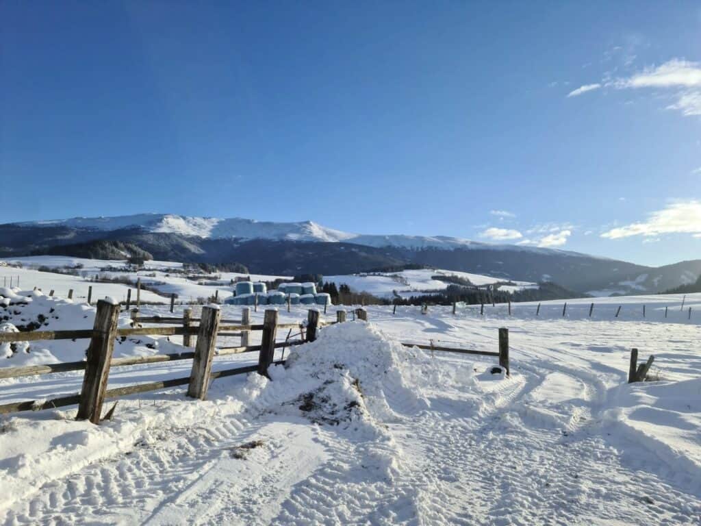 Winterlandschaft vor Doblhof